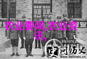 民法典守护黑木耳梦吉林电网确保木耳之乡用电安全