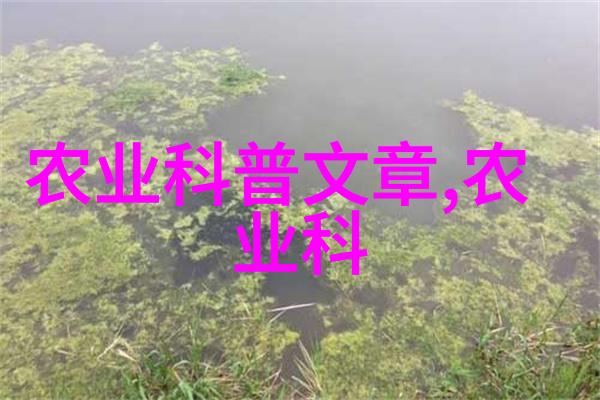 法律法规百问深入解读100条规范之谜