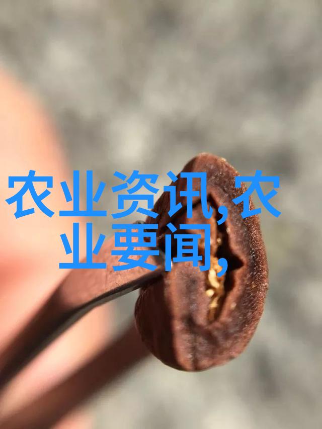 甜蜜的劳动蜂群之谜与养殖技巧