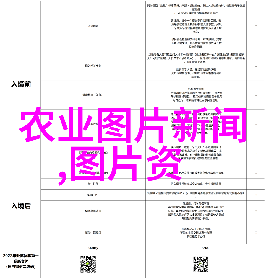 法律小常识探索解析百问百答