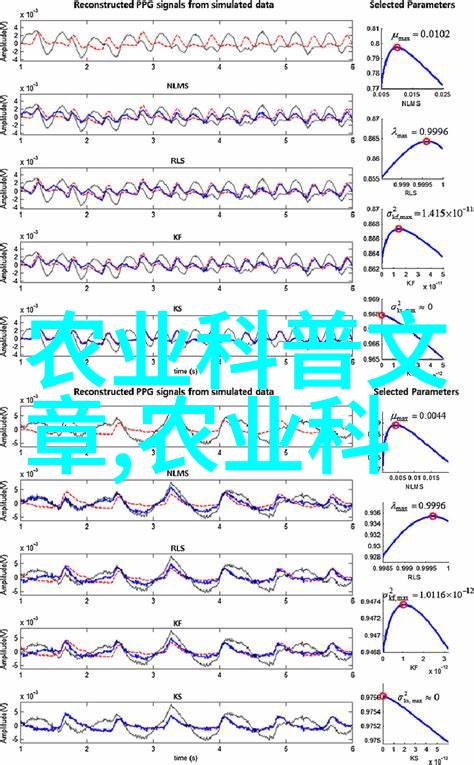 言笑弯弯温暖的笑容与弯弯的故事