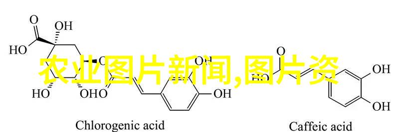 肉牛欲速成疾病避需用专合益生菌助淡水小龙虾养技巧同理