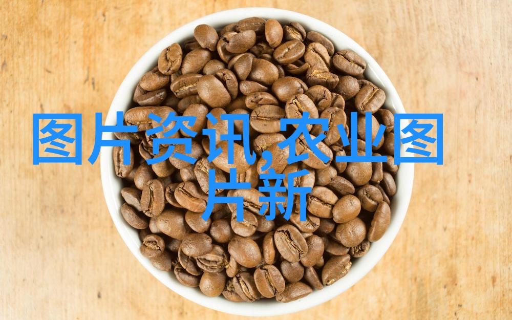 北影张雅茹北影学院的音乐天才张雅茹