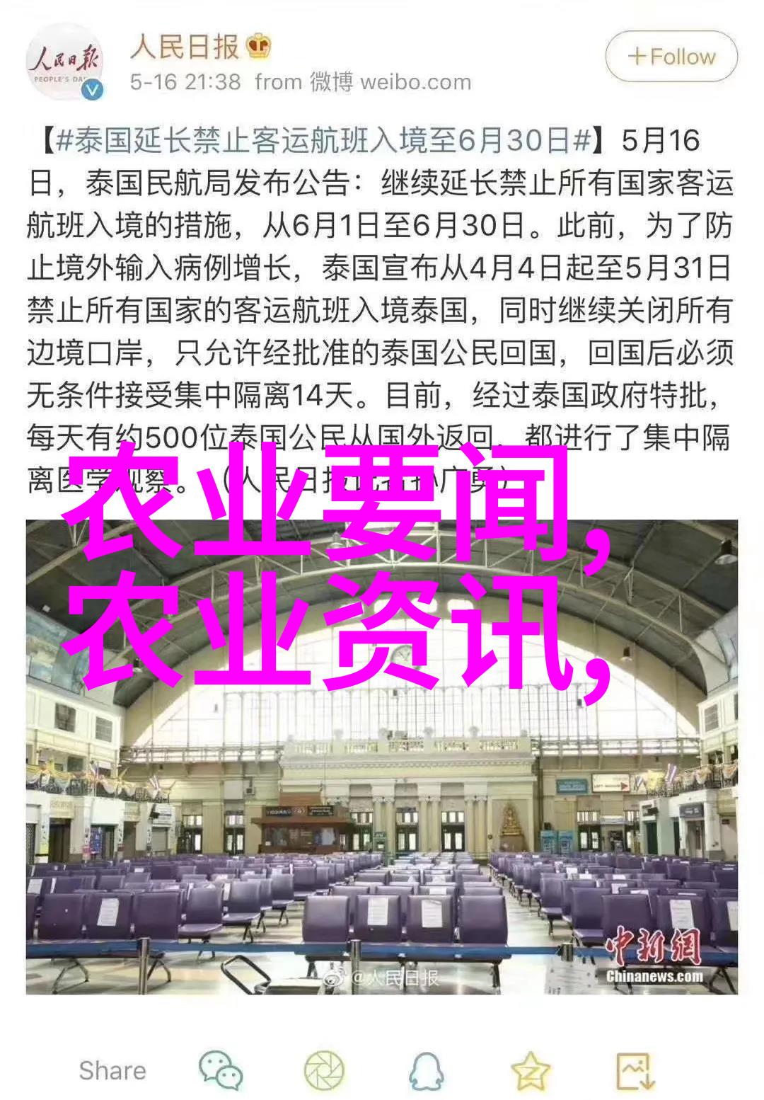 农民种什么省事又赚钱-财源广进高效经济作物的选择与运用