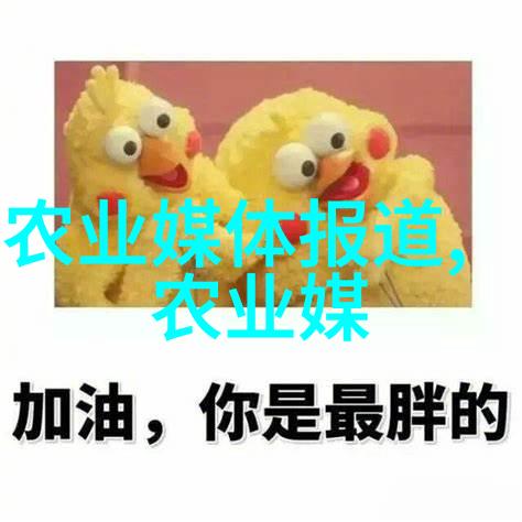 山东黄鳝养殖技术我的小金山在哪里