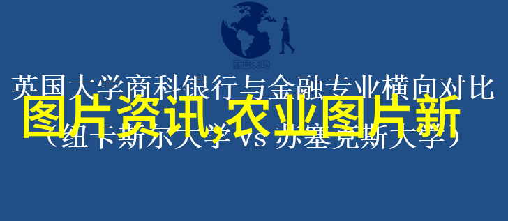 生长周期从孵化到成熟的鸡群管理策略