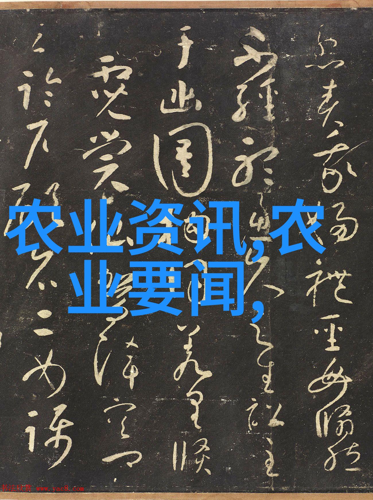 蜜蜂最简单的分蜂方法自然界中的社会结构与生殖行为