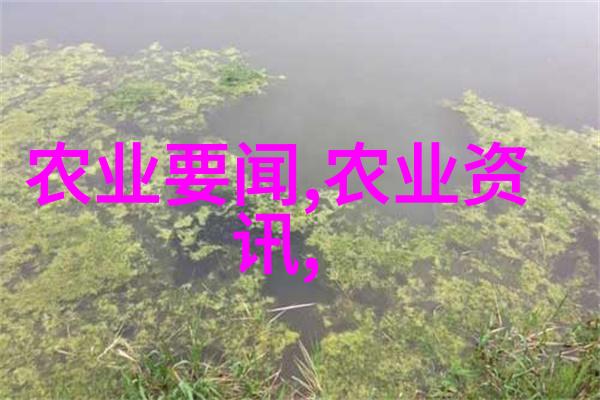 云南花卉批发基地分布地云南多彩花海的集中体现