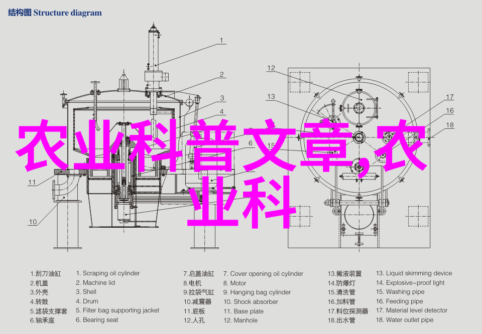 黄粉虫饲料准备方法有哪些以及它们对健康成长的影响