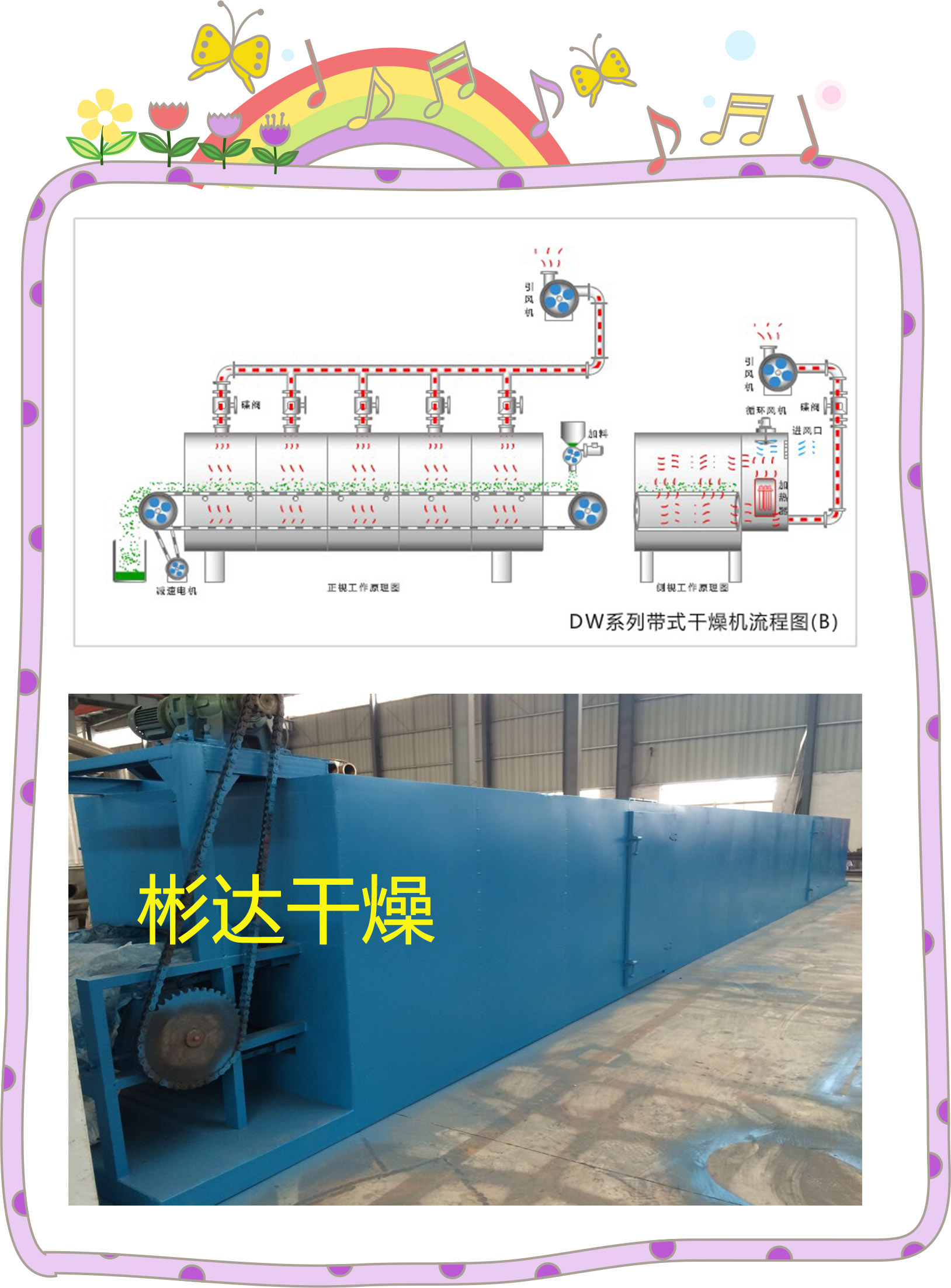 传统与现代比较哪种蛋鸡养殖技术更具经济效益