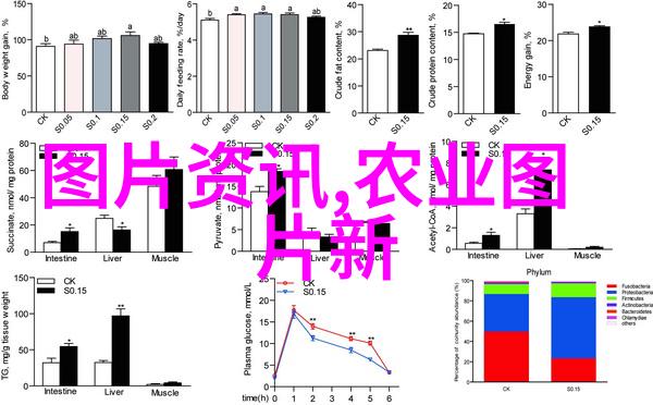 喂蜂器大全为什么需要定期更换喂蜜刀