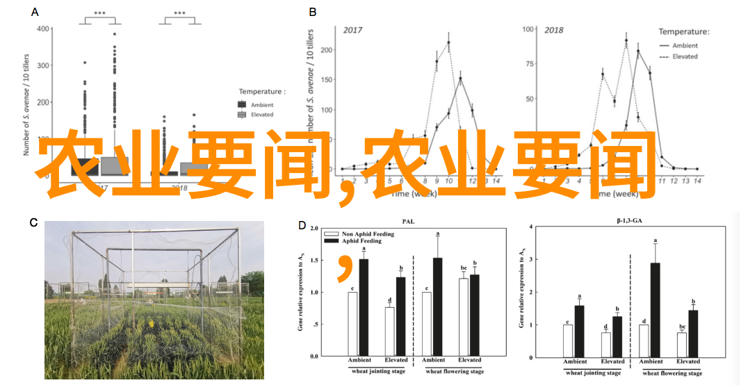 蜂蜜与秘密一箱蜂王的代价