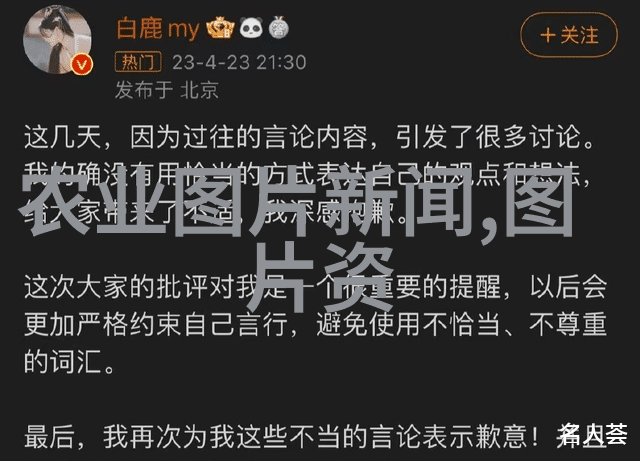 春季盛开夏季累累懒人果树的花果双丰收之谜