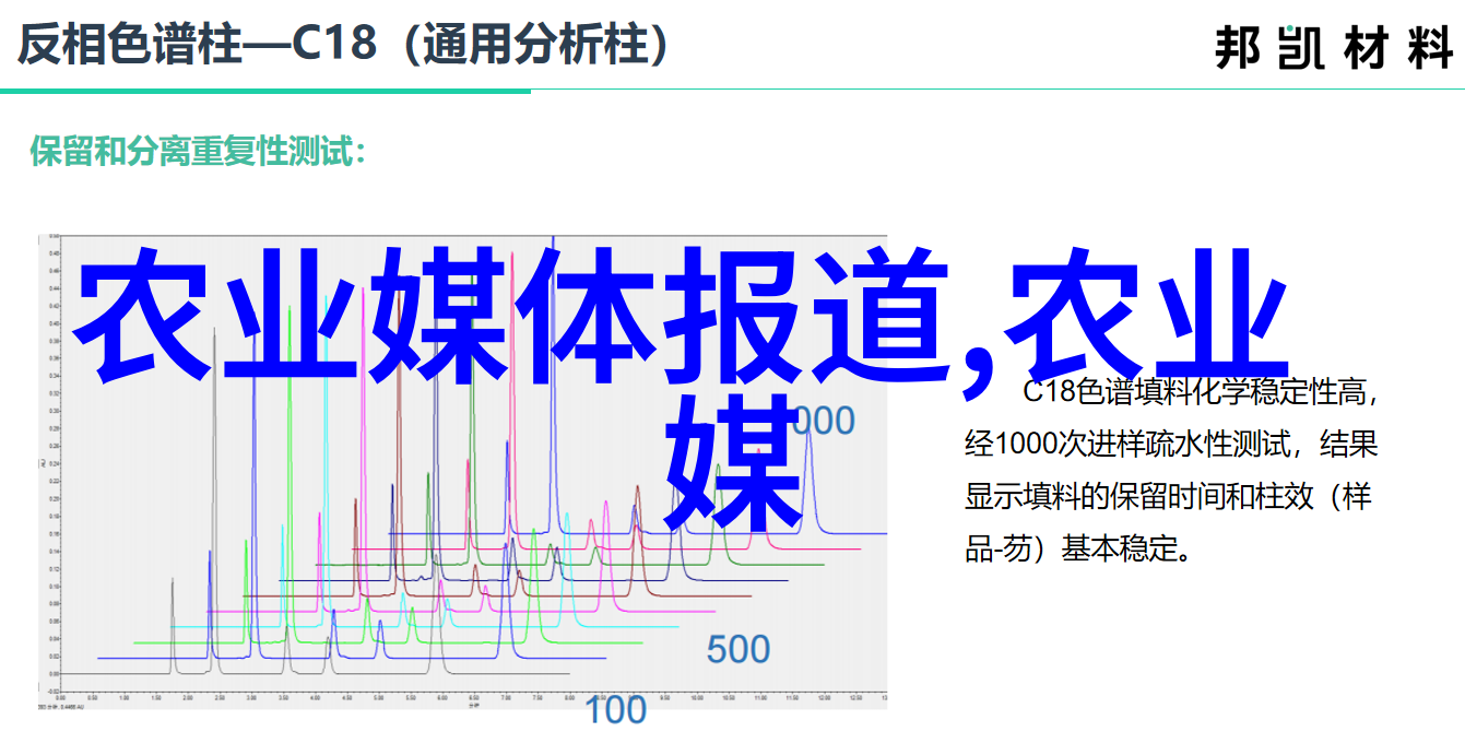 西餐之美探索西洋菜的文化与魅力