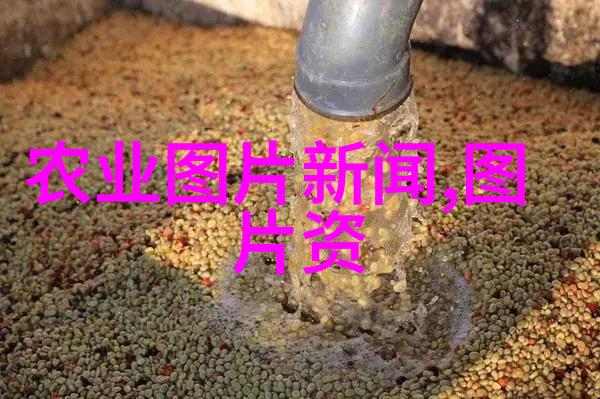 确保生态平衡提升经济效益新型生物多样性增强技术在稻田黄鳝种植中的应用研究