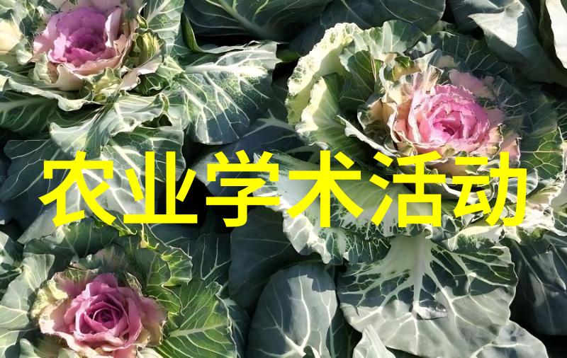 2016年植保所篮球联赛拉开帷幕-