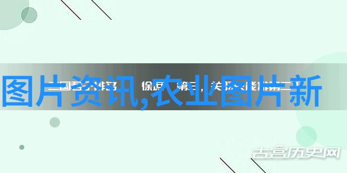 鸡蛋价格今日价市场飙升vs家庭厨房的平民价格战