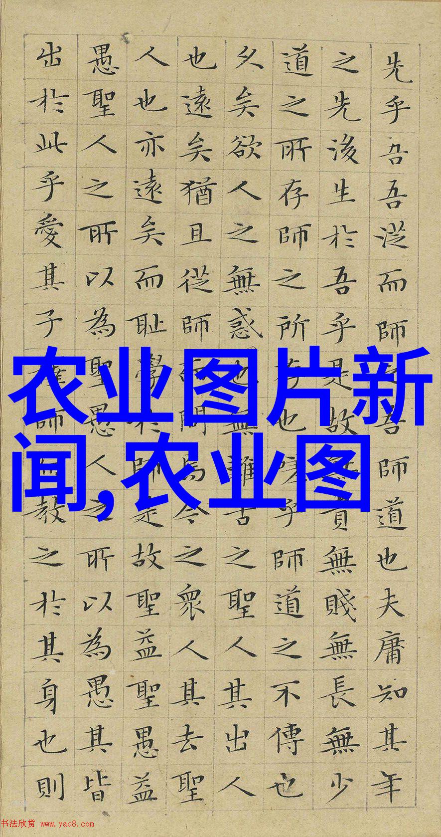 科学养蜂技术与方法精髓高效的蜂箱管理健康蜂群育种环境适宜性调节