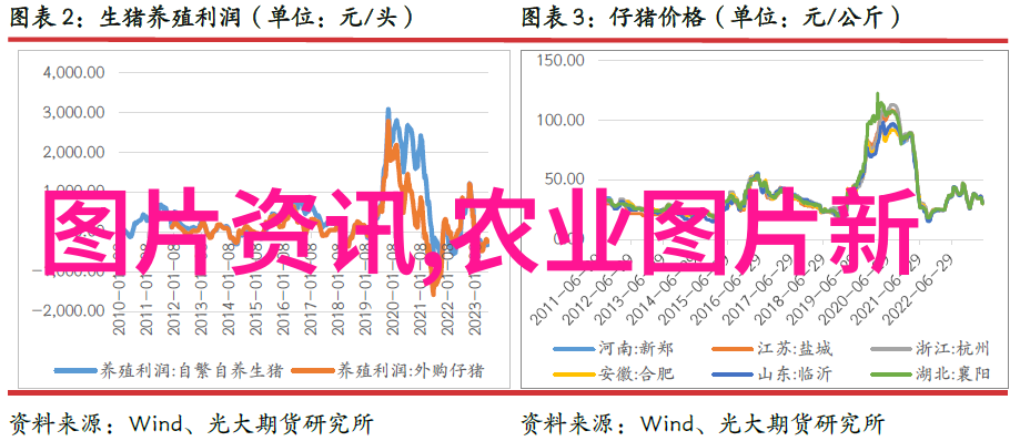 室内植物盆景-绿意盎然的室内美学如何创造动人心魄的植物盆景