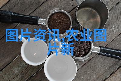 菌类新闻我是怎么发现室内植物被细菌盗窃养分的