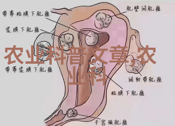 农业致富指南土地上最赚钱的水果和蔬菜是什么