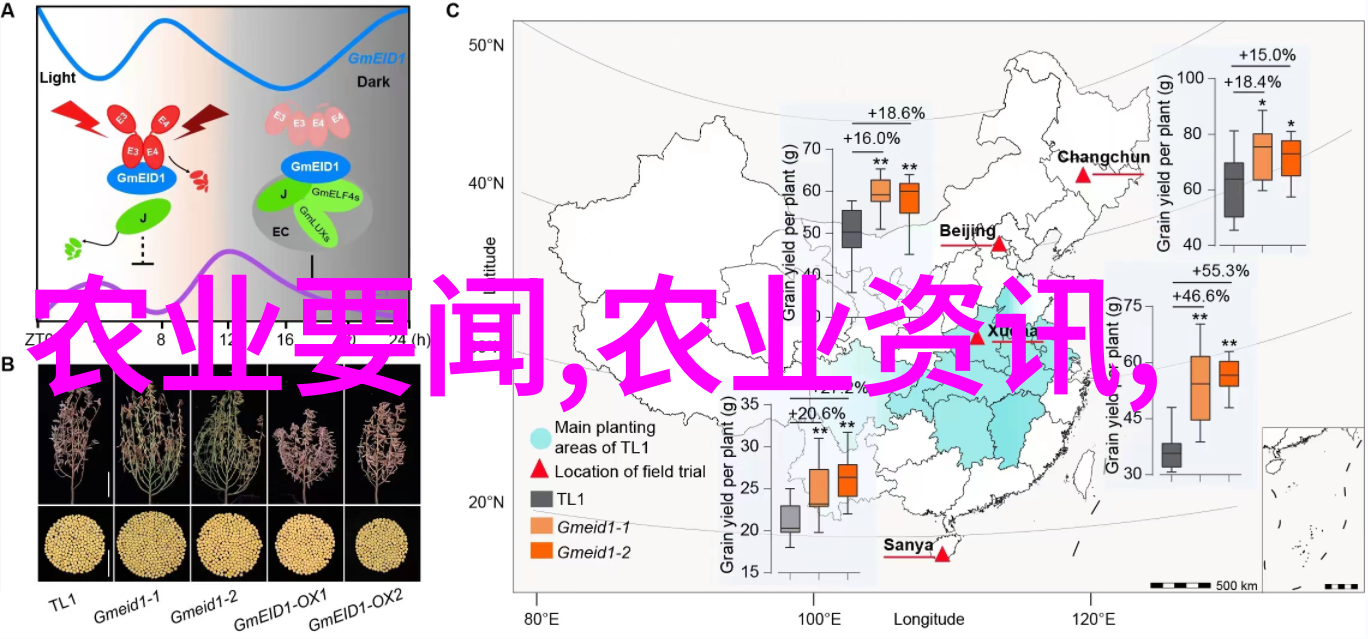 养殖技术员的智慧与挑战如何提高畜牧业效率与可持续发展