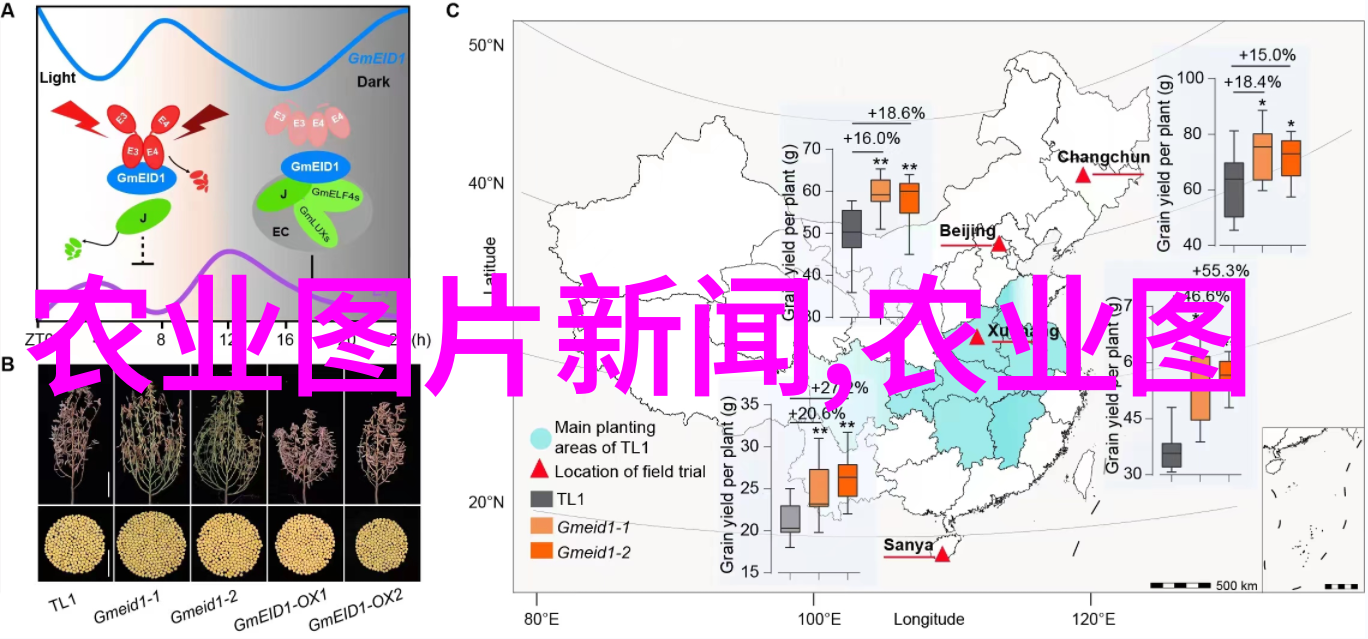 养殖财富赚钱秘诀什么养殖最赚钱揭秘高收益的生意