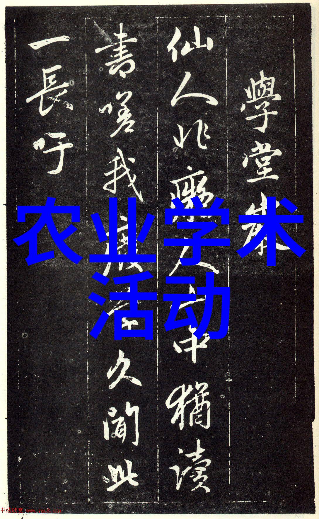 安庆市宜秀区白泽湖乡智慧农业促振兴科普宣传滋润人心