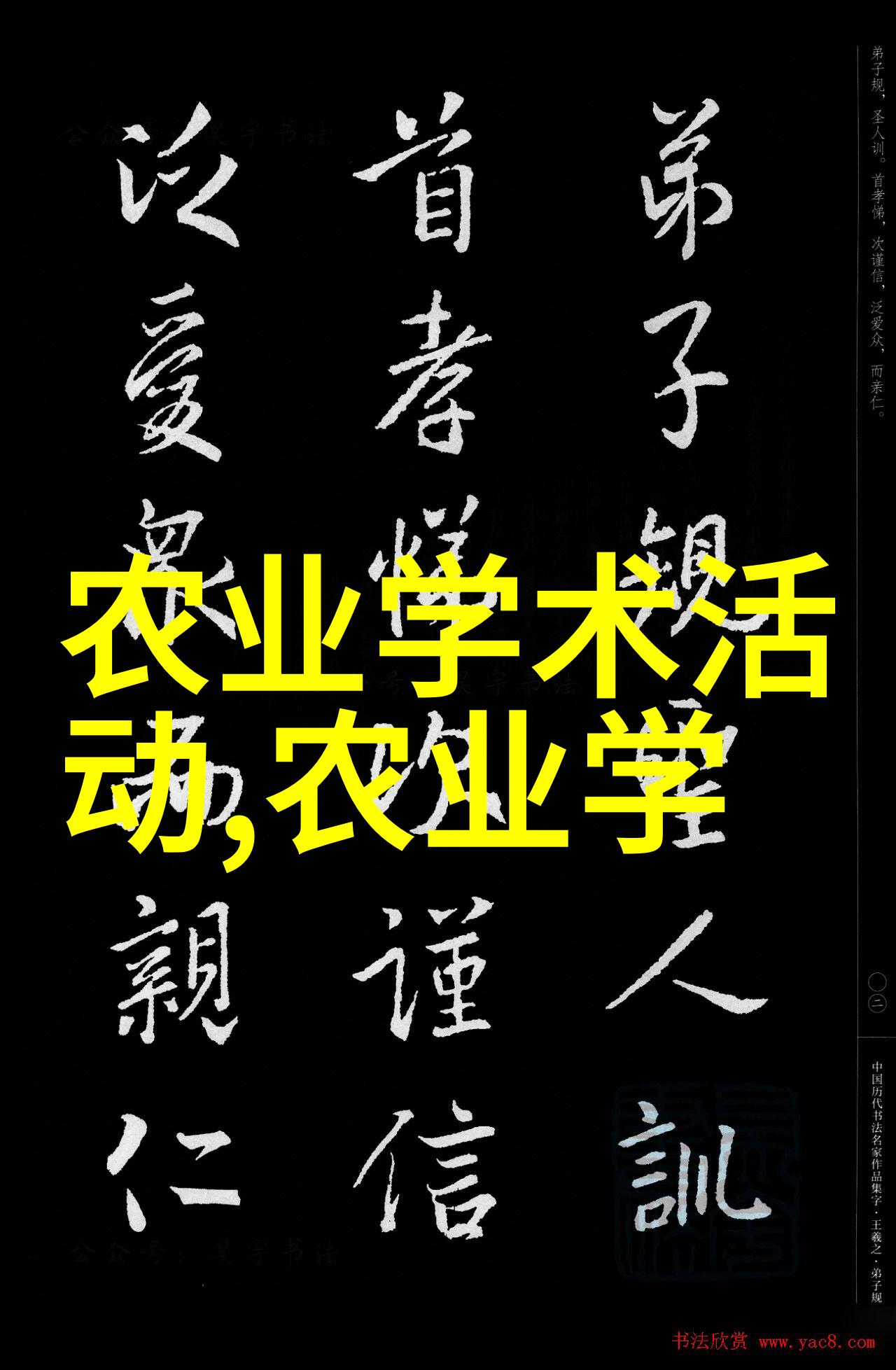 蛋鸡养殖技术优质蛋白源的选择高效蛋鸡养殖技术与管理实践