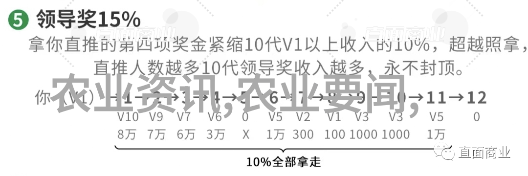 学长的异想世界与我的小兔子