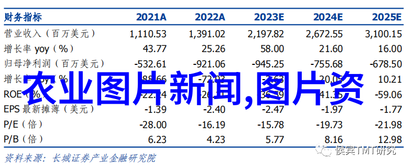 现在种植什么最赚钱一年见效-一年的金最新热门作物投资指南