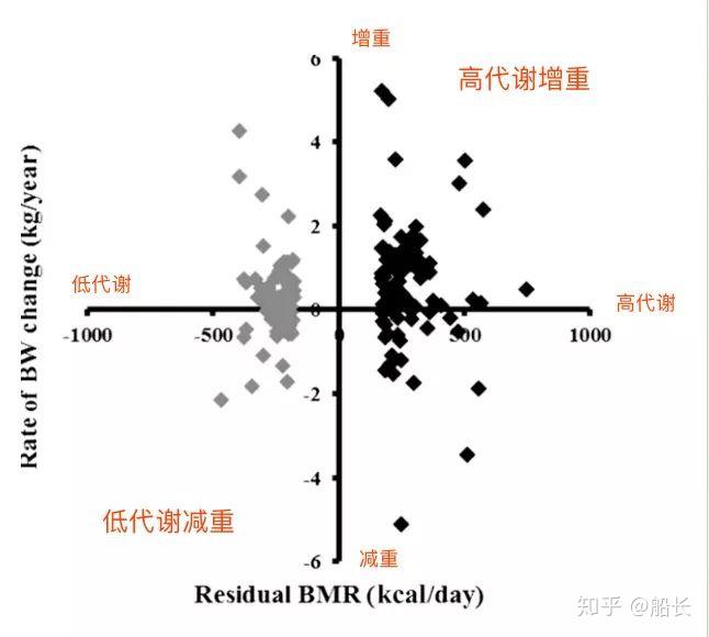 冬季孵化鹅的温度与湿度管理在禽类养殖技术中占有重要地位