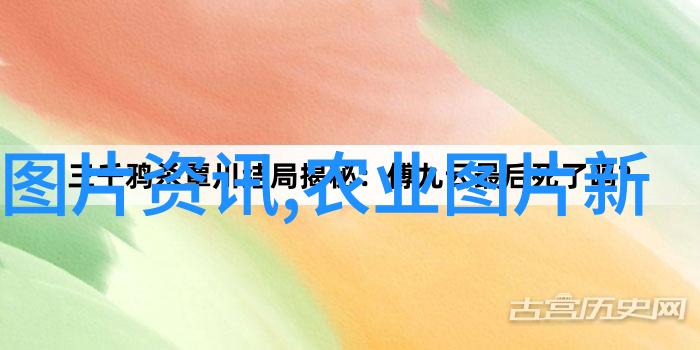 中药材价格一览表2023天价与民脂的反差篇