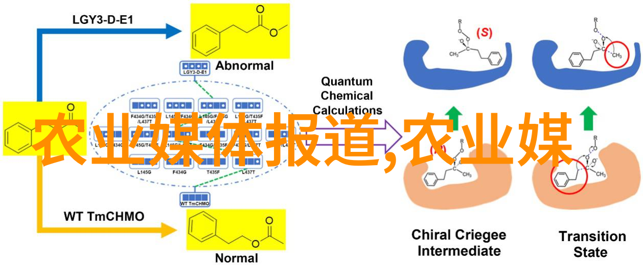 过滤压力和过滤速率在养猪场污水过滤过程中扮演什么角色