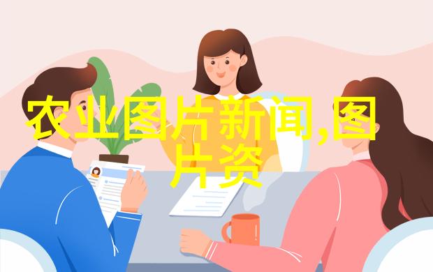 蛋鸡养殖技术-高效蛋鸡养殖方法与管理实践