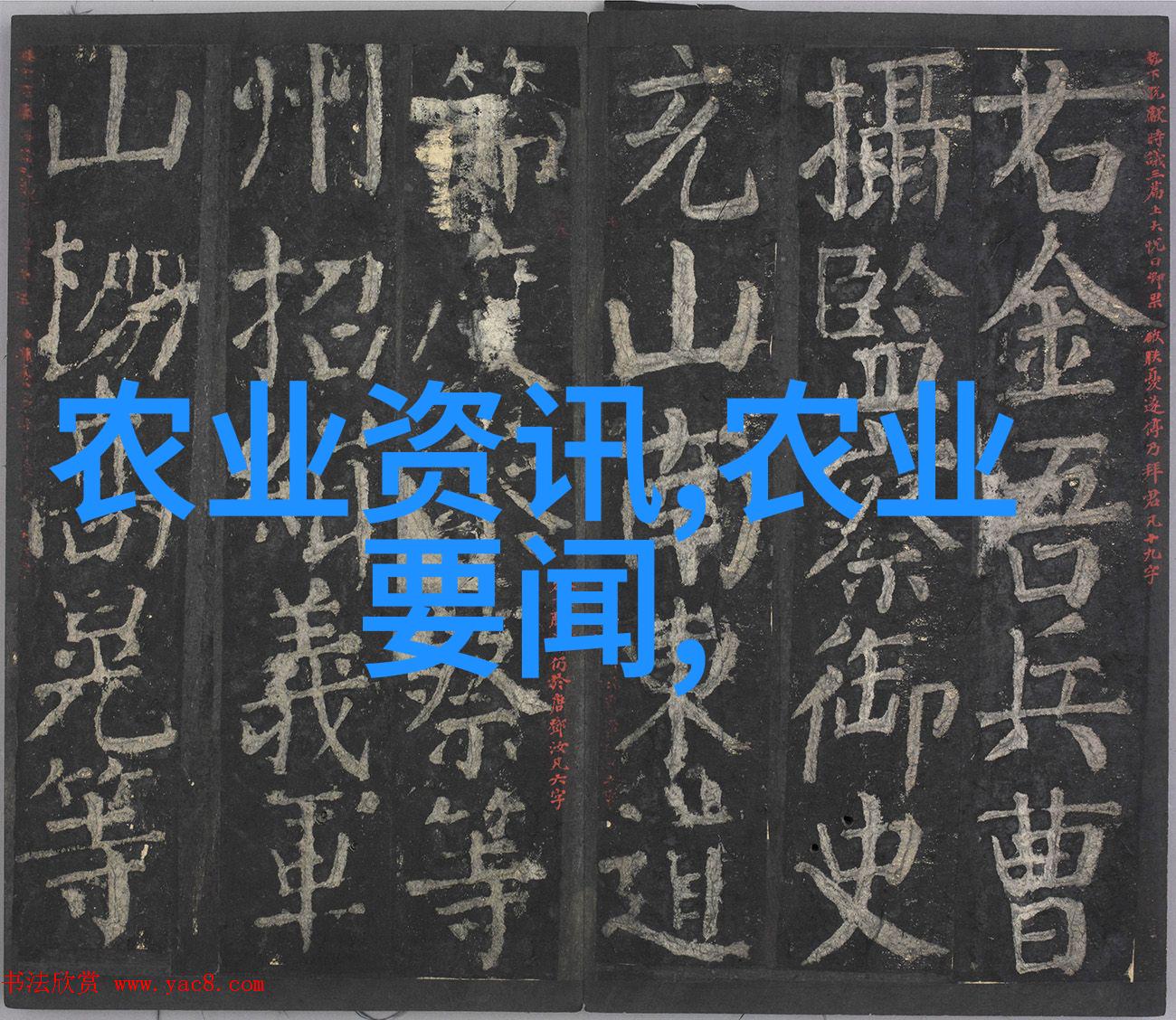 数字媒体艺术设计专升本考究从创意到技术跨越视觉与交互的学术探索