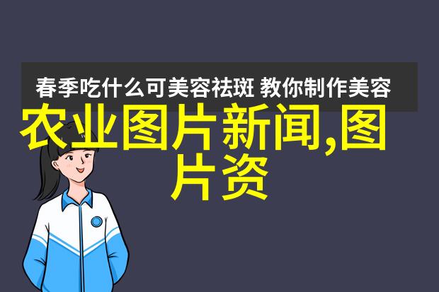 民法典的重要性深入剖析法律体系中的基石地位