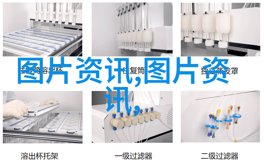 竹鼠养殖技术精髓解析从基因选择到营养管理的全过程