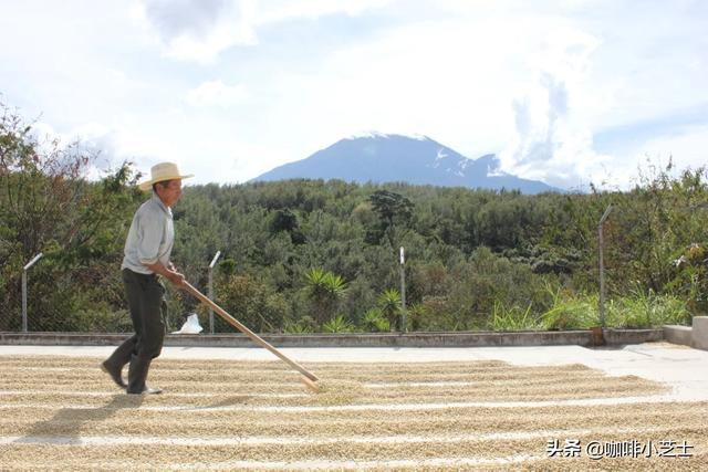 高效利用资源减少污染绿色龙虾养殖实践指南