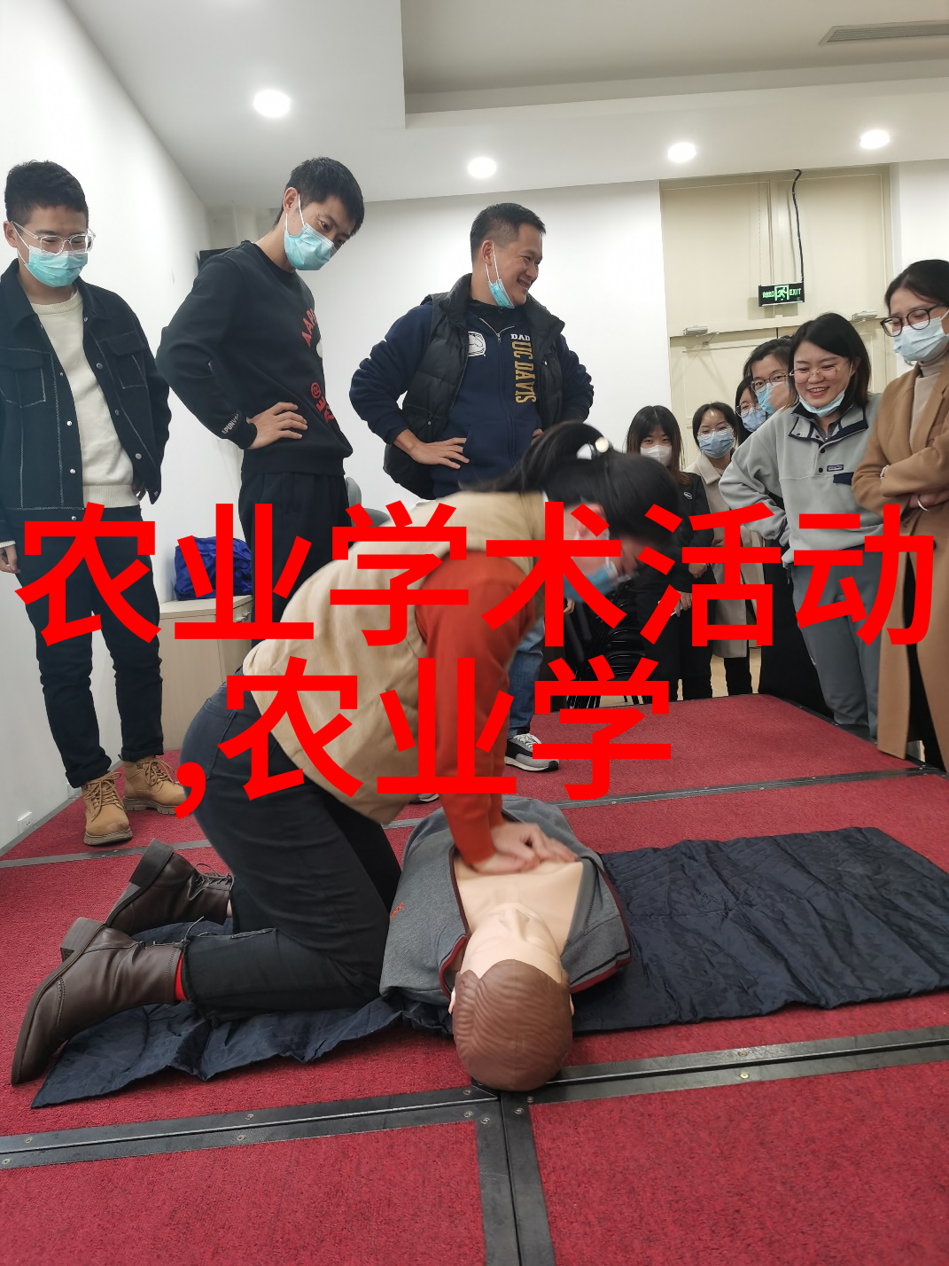 南方蜜蜂养殖技术蜜蜂栖息环境优化病虫害防治策略多品种育种管理