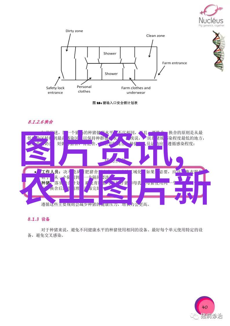 中药材种植基地简介我的家园绿色生长的宝库