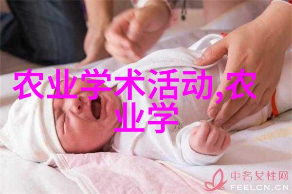 养蜂人与蜜蜂的共舞