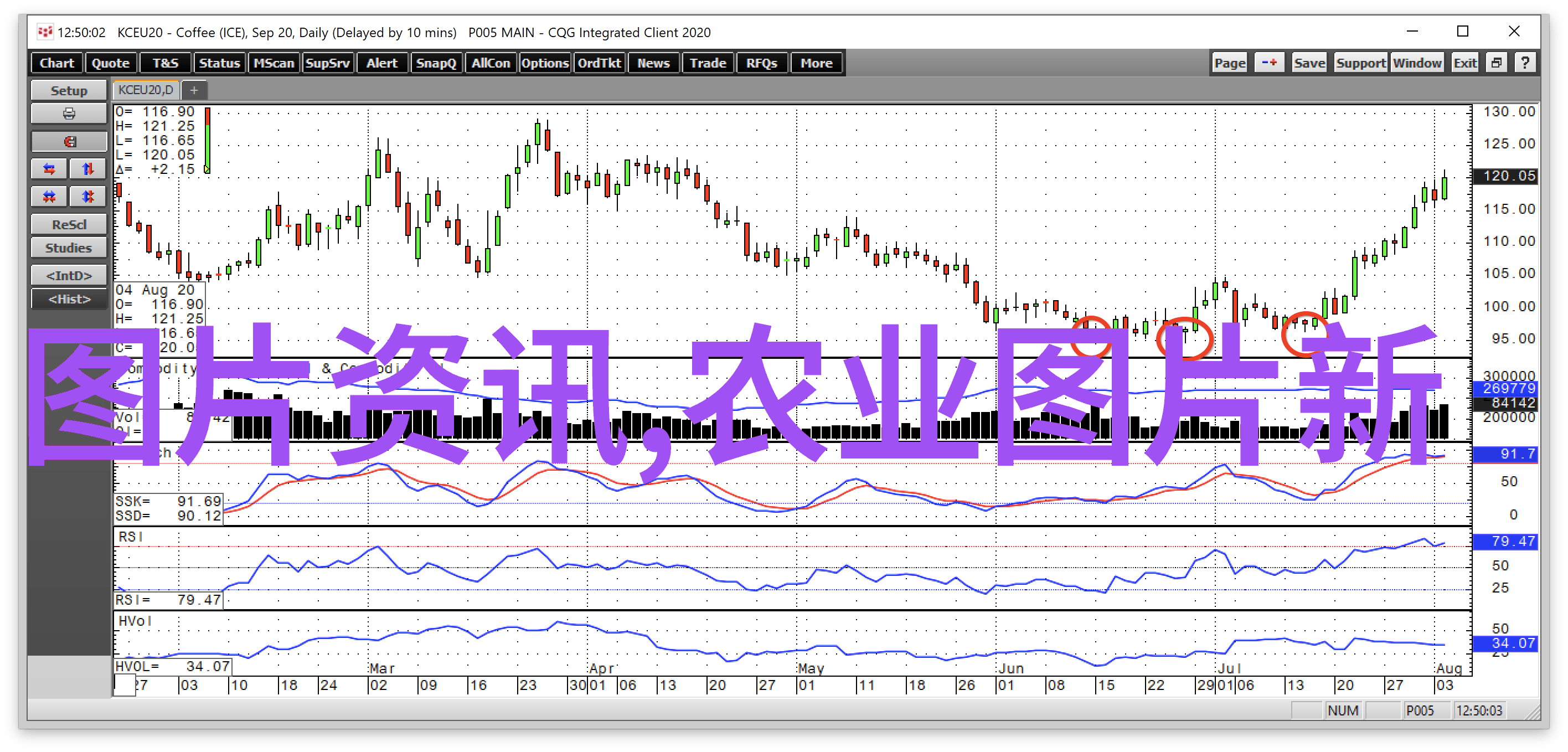 空間有限不再是問題哪些水果能在小盆子里快速成長