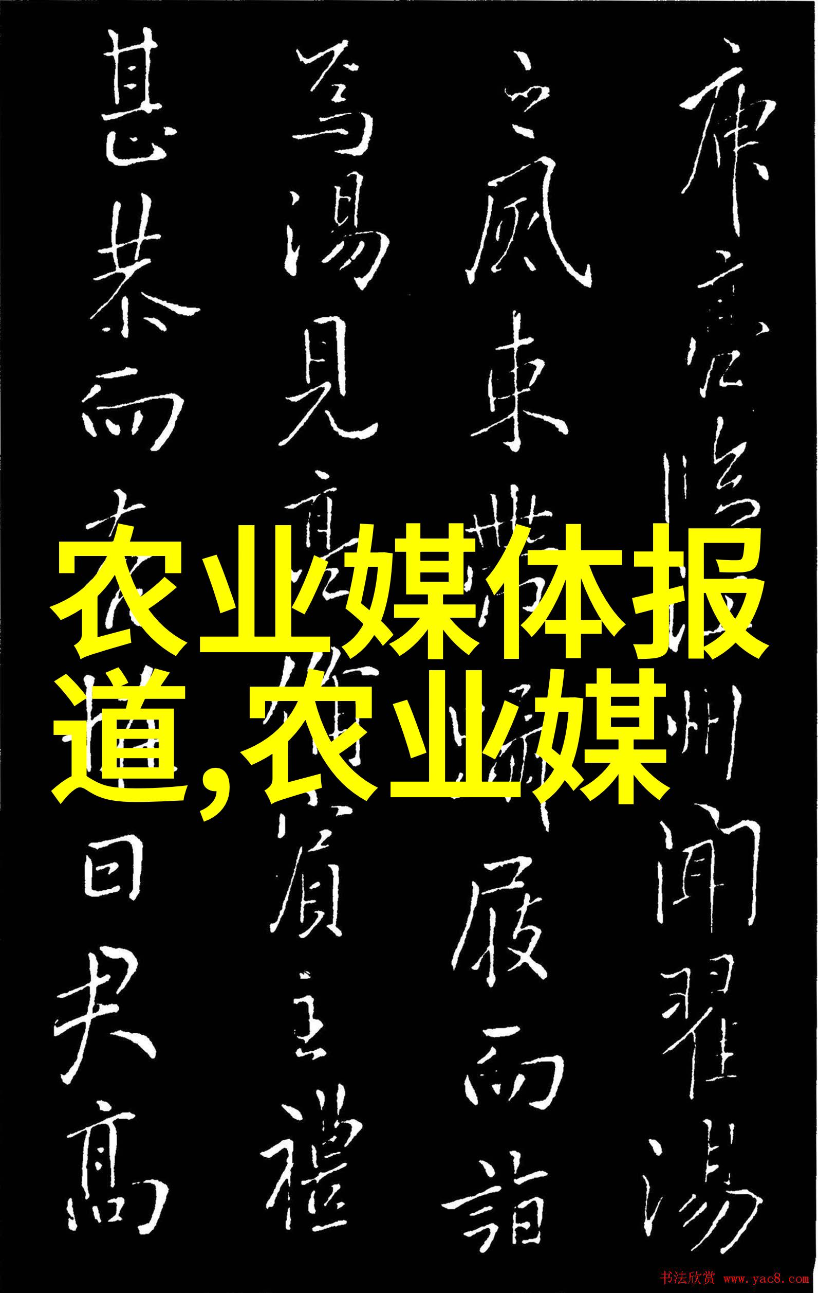 2023年养蜂补贴政策详解新政策下养蜂户的利好分析