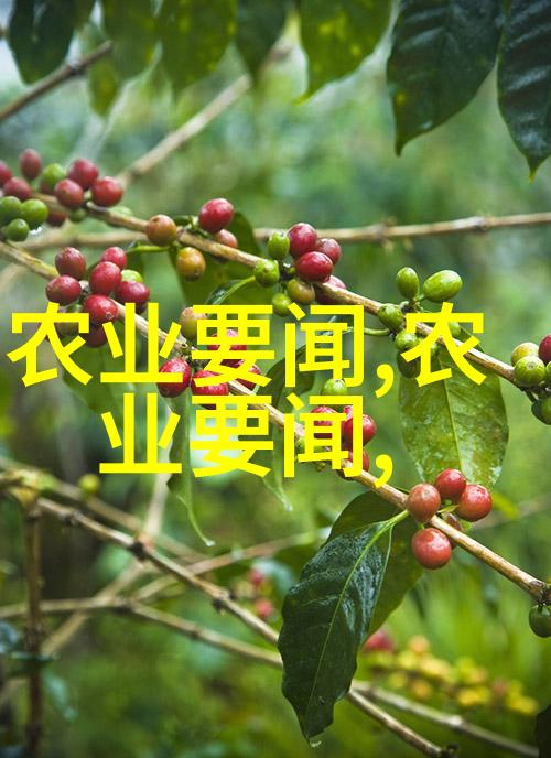 花园中的工作者蜜蜂教学视频观后感