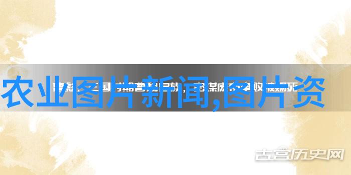 冬季气温低 罗非鱼咋越冬