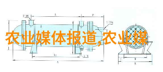 娃娃鱼养殖技术精髓解析从繁殖到饲料的全方位策略