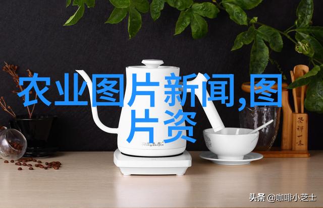 茶香浓郁滋补心灵的绿意盎然