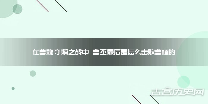 牛蛙养殖技术我来教你怎么把钱赚到手