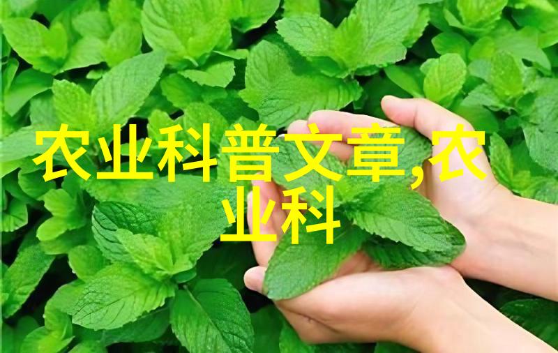 家里最旺财的十种花树经济实用又美丽的十大花卉选择